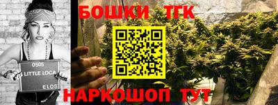 МДПВ Краснознаменск