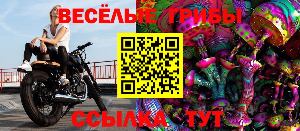 Псилоцибиновые грибы мицелий  Вход с VPN  Котовск 