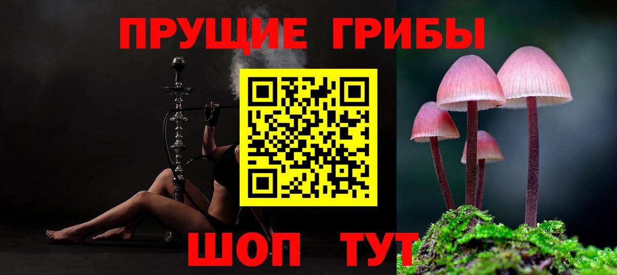 Псилоцибиновые грибы Psilocybine cubensis Котовск